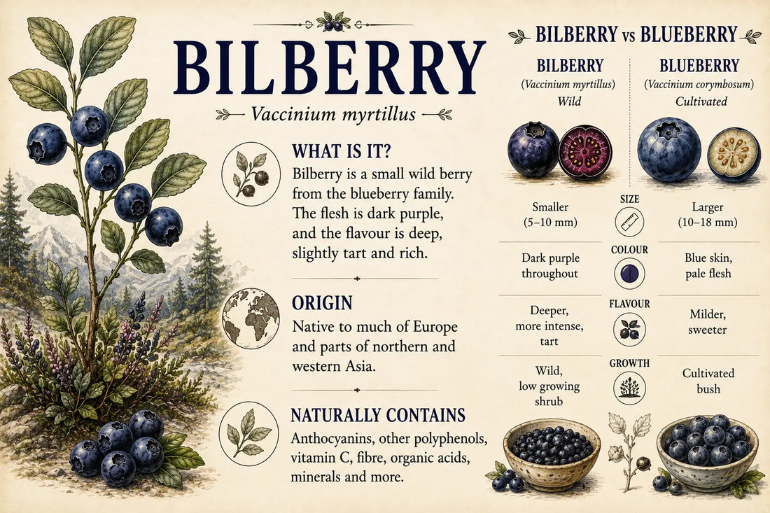 Bilberry