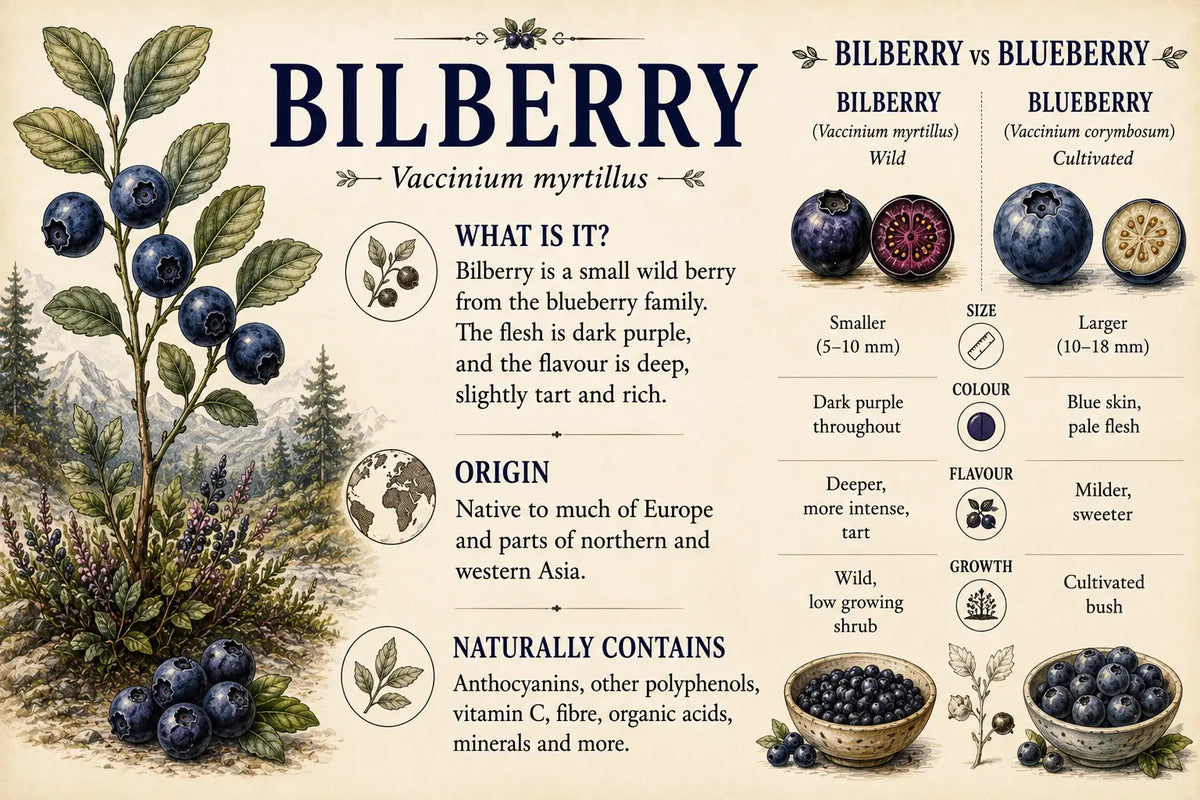 Bilberry