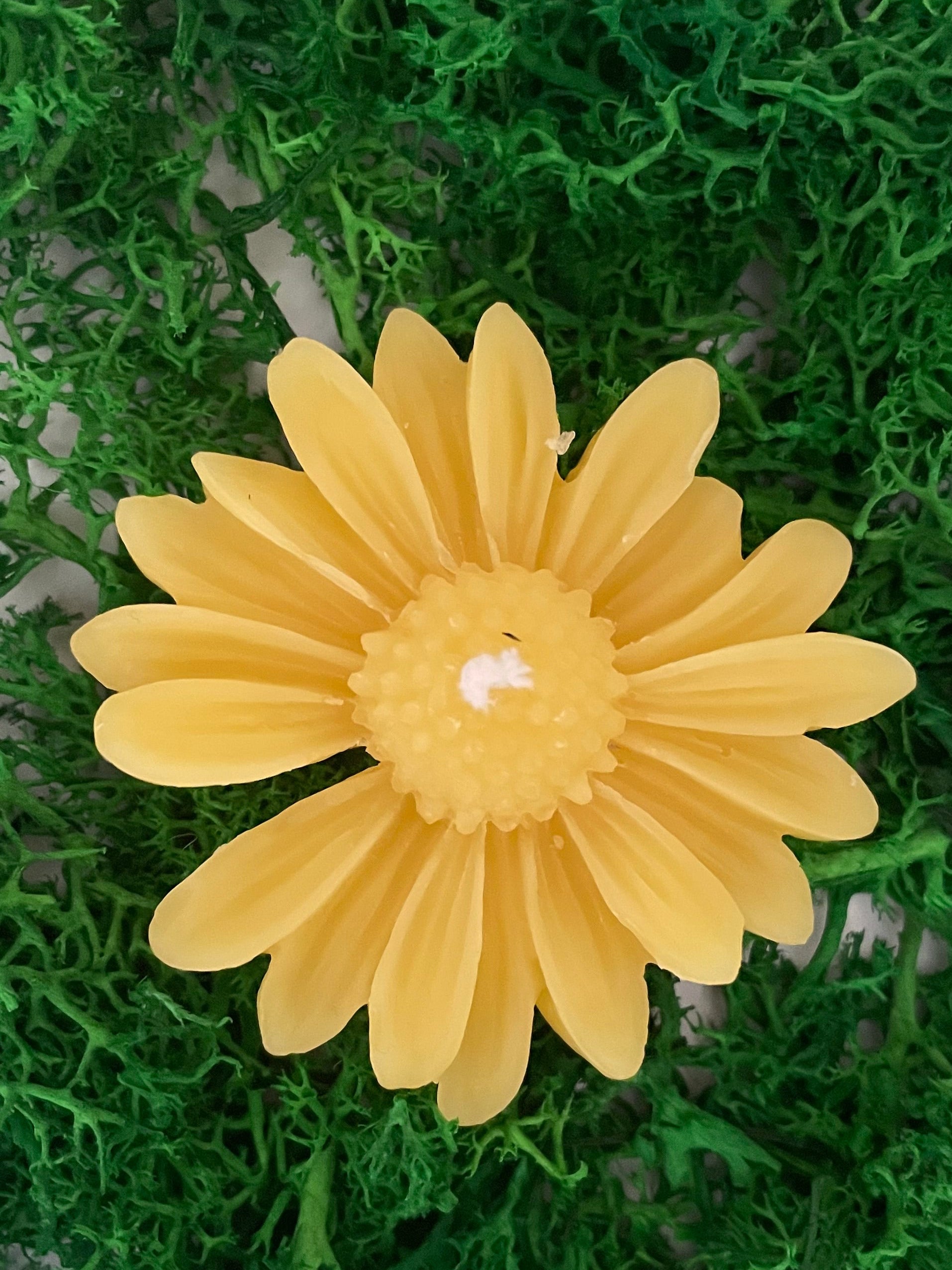 Flower Pure Beeswax Candle (Natural or Charcoal)