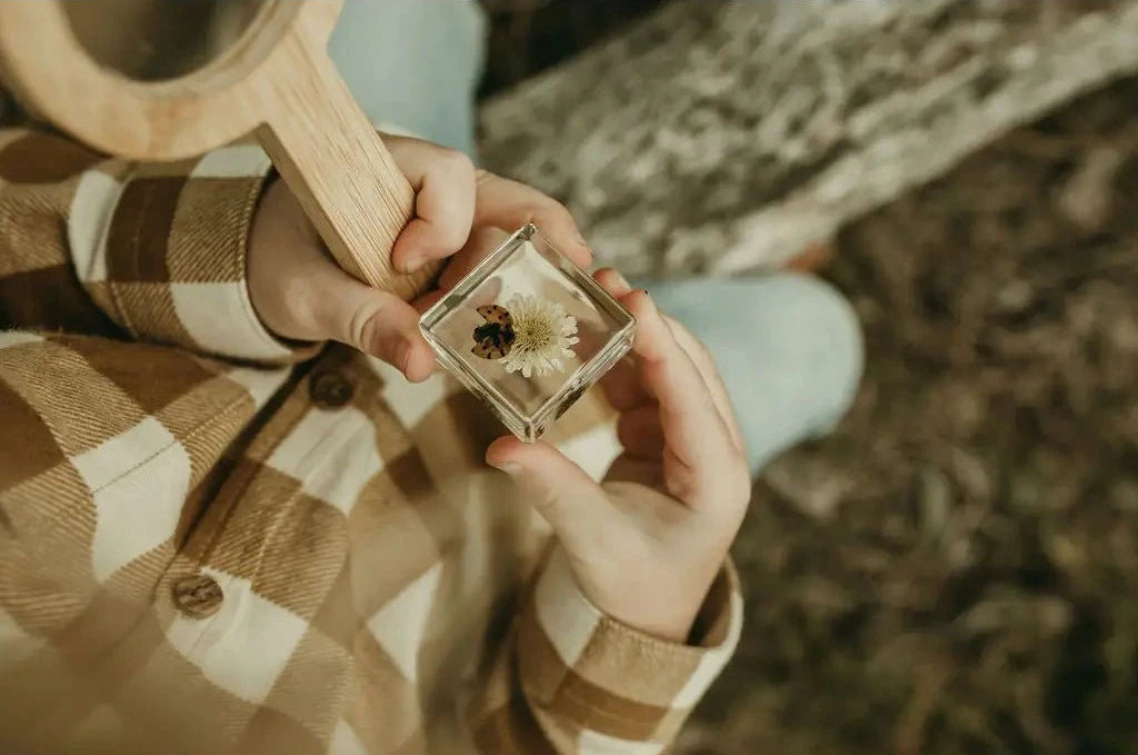 Kid holding a preserved  flower inside, outdoors.