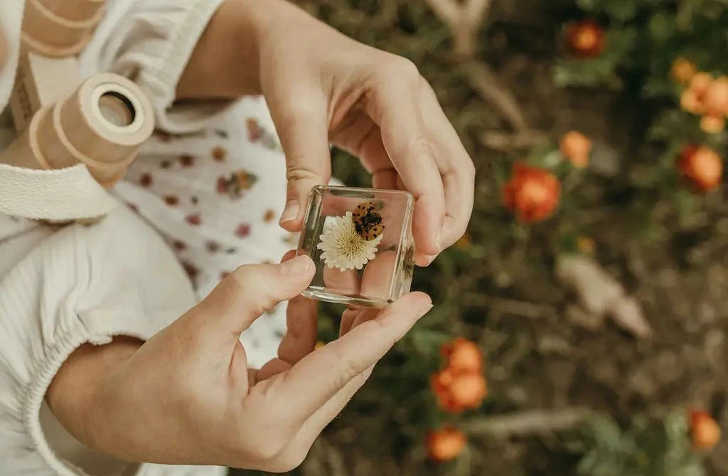 Kid holding a preserved  flower and insect, against a blurred natural background.